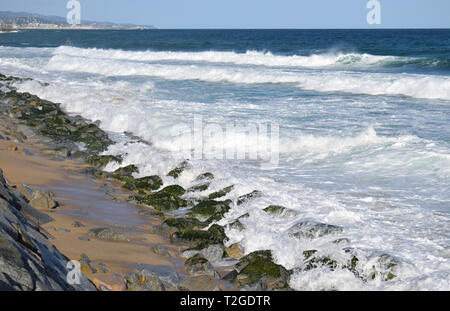 Meer Hackfleisch in Cabrera de Mar Barcelona Stockfoto