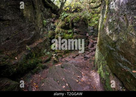 Luds Kirche, Gradbach, Staffordshire, England. Eine geheimnisvolle Rocky chasm in Wäldern in der Nähe der Kakerlaken. Stockfoto