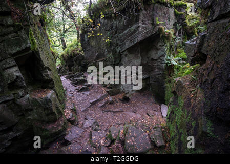 Luds Kirche, Gradbach, Staffordshire, England. Eine geheimnisvolle Rocky chasm in Wäldern in der Nähe der Kakerlaken. Stockfoto