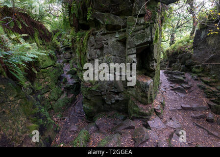 Luds Kirche, Gradbach, Staffordshire, England. Eine geheimnisvolle Rocky chasm in Wäldern in der Nähe der Kakerlaken. Stockfoto