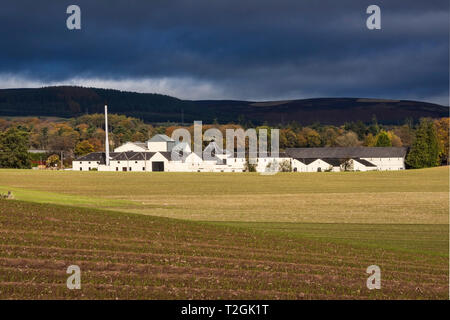 Herbst Licht bei Fettercairn, Brennerei, Bäume, Dorf, Aberdeenshire, Hochland, Schottland Großbritannien Stockfoto