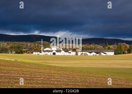 Herbst Licht bei Fettercairn, Brennerei, Bäume, Dorf, Aberdeenshire, Hochland, Schottland Großbritannien Stockfoto