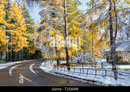 Verschneite Straße in der Nähe von Braemar, einer 93, Bäume, Winter Sonnenlicht, Aberdeenshire, Hochland, Schottland Großbritannien Stockfoto