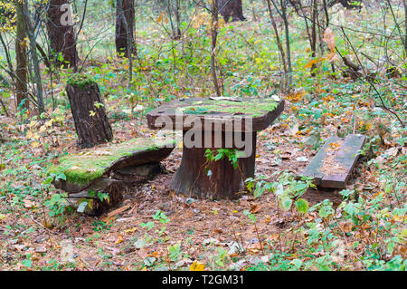 Tisch und Bänke im Wald, eine Tabelle mit einer Sitzbank für Touristen Stockfoto