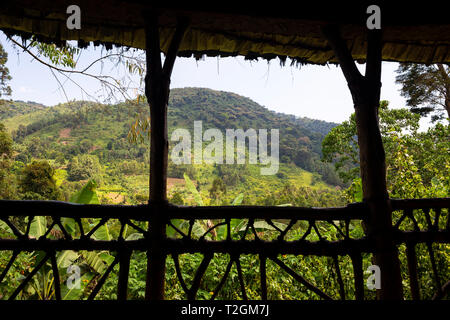 Blick auf den Regenwald von Honeymoon Suite an Mahagoni Federn Safari Lodge in der Nähe des Bwindi Impenetrable Forest National Park, South West Uganda, Ostafrika Stockfoto