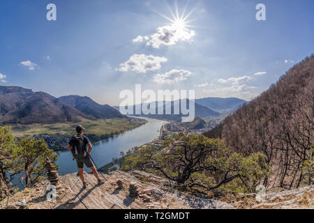 Blick auf die Wachau mit Mann beobachten Spitz Dorf in Österreich Stockfoto