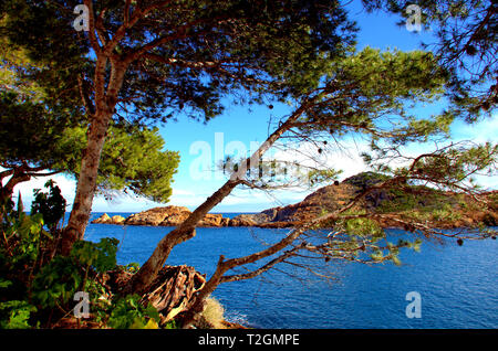 Einen herrlichen Blick auf Cala Sa Tuna an der Costa Brava Girona, Stockfoto