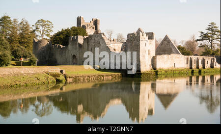 Die Reste einer mittelalterlichen Burg Desmond am Ufer des Flusses Maigue in Adare, County Limerick, Irland, eingesehen werden. Stockfoto