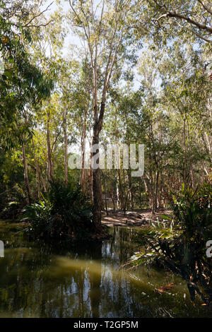 Blick auf die Lagune zu 'Hartley's Crocodile Adventures Wildlife Sanctuary, Captain Cook Highway, Wangetti, Queensland, Australien. Stockfoto