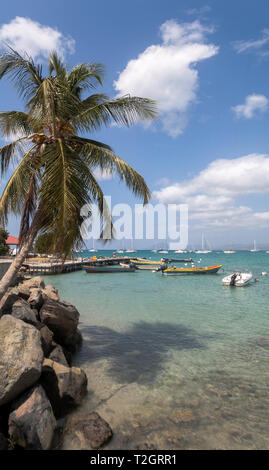 Kleines Boot Verankerung unter einer Palme am Hafen von Saint Anne in der französischen Karibik Insel Martinique gesehen. Stockfoto