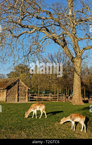 LYON, Frankreich, 30. März 2019: Auf einem sonnigen Frühling Nachmittag im Parc de la Tête d'Or, der größten Stadt Park in Europa. Stockfoto