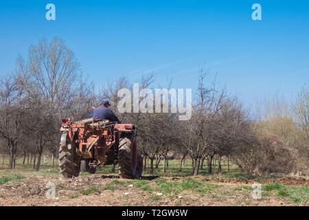 Alte Schlepper bei der Arbeit auf dem Feld Stockfoto