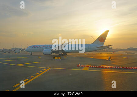 NEWARK, NJ-30 Mar 2019 - Ansicht einer Boeing 787 Dreamliner Flugzeug von Air Canada (AC) am Internationalen Flughafen Newark Liberty (EWR) in der Nähe von New York Stockfoto