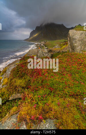 Küste von Vikten, Lofoten, Norwegen, Europa Stockfoto