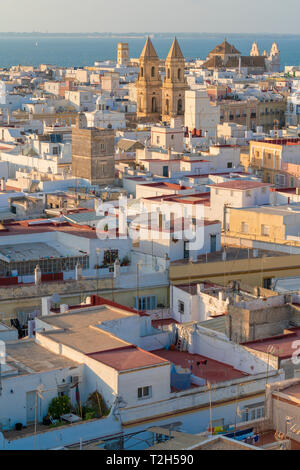 Blick vom Torre Tavira weißer Häuser in Cadiz, Spanien, Europa Stockfoto