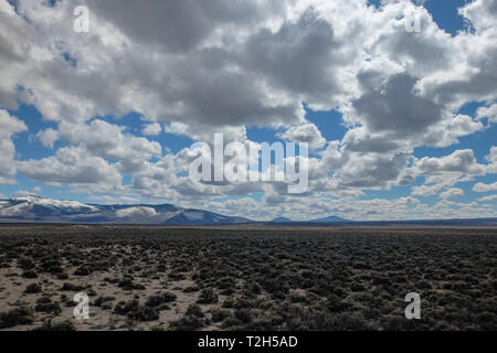 Sagebrush in der hohen Wüste Tal auf einer leicht bewölkt Tag Stockfoto