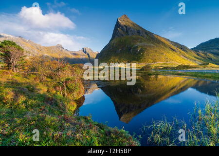 Volanstinden Berg über Fjord in Fredvang, Lofoten Inseln, Norwegen, Europa Stockfoto