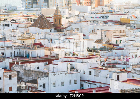 Blick vom Torre Tavira weißer Häuser in Cadiz, Spanien, Europa Stockfoto