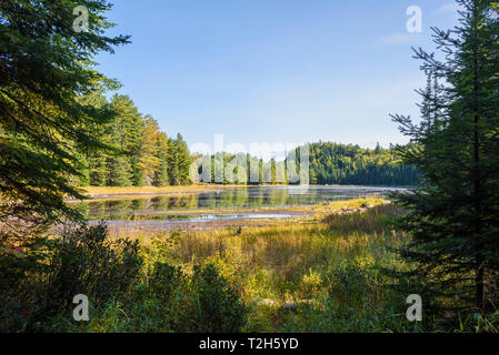 Fluss und Highland Rucksack Trail im Algonquin Provincial Park, Ontario, Kanada, Nordamerika Stockfoto