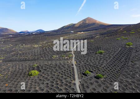 Weinberg La Geria, Guardilama Mountain in der Nähe von Yaiza, Drone, Lanzarote, Kanarische Inseln, Spanien Stockfoto