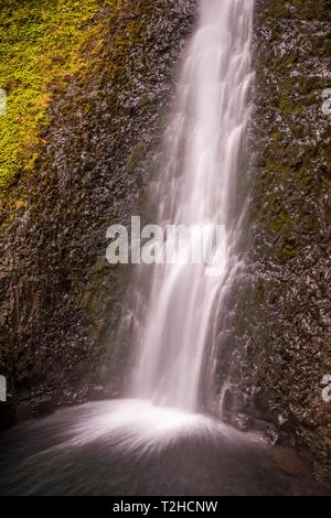 Wasserfall, Silver Falls State Park, Oregon, USA Stockfoto