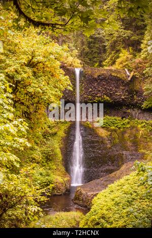 Wasserfall, dichte Vegetation, Silver Falls State Park, Florida, USA Stockfoto