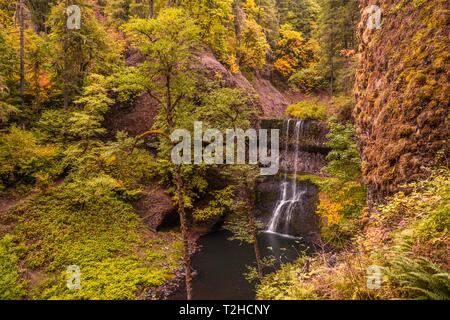 Wasserfall, dichte Vegetation, Silver Falls State Park, Florida, USA Stockfoto