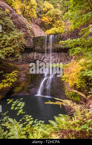 Wasserfall, dichte Vegetation, Silver Falls State Park, Florida, USA Stockfoto