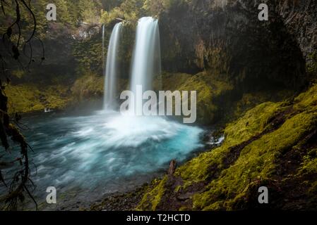 Wasserfall in der dichten Vegetation, Koosah fällt, Oregon, USA Stockfoto