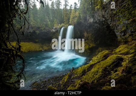 Wasserfall in der dichten Vegetation, Koosah fällt, Oregon, USA Stockfoto