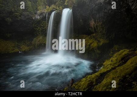 Wasserfall in der dichten Vegetation, Koosah fällt, Oregon, USA Stockfoto