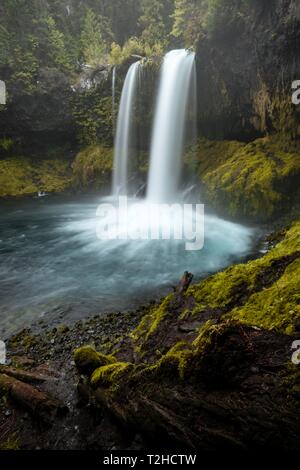 Wasserfall in der dichten Vegetation, Koosah fällt, Oregon, USA Stockfoto