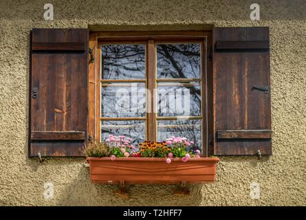 Alte Fenster mit Blume und Blumen, hostel Häuser, Preysingstrasse, Haidhausen, München, Bayern, Deutschland Stockfoto