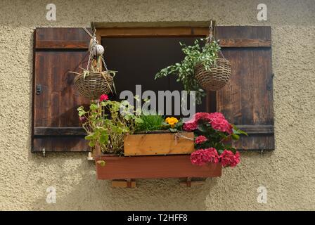 Alte Fenster mit Blume und Blumen, hostel Häuser, Preysingstrasse, Haidhausen, München, Bayern, Deutschland Stockfoto