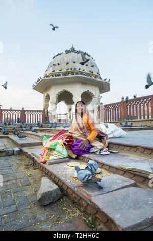 Frau füttern Tauben mit Mais an Amber Fort in Rajasthan, Indien, Asien Stockfoto