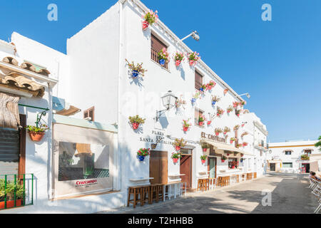 Gebäude mit hängenden Blumentöpfe in Conil de la Frontera, Costa de la Luz, Provinz Cadiz, Andalusien, Spanien, Europa Stockfoto