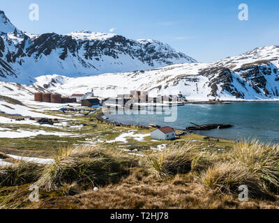 Die verlassene Walfangstation in Grytviken, jetzt gereinigt und für den Tourismus auf South Georgia Island renoviert, Atlantik Stockfoto