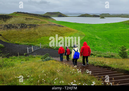 Touristen wandern im Regen zu den Skutustadagigar pseudo Krater, wild wachsende Blumen, See Myvatn, Akureyri, Island, Europa Stockfoto