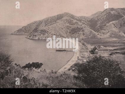 Avalon Hafen, Santa Catalina Island, Kalifornien Stockfoto