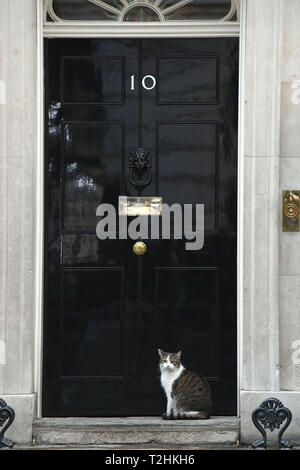 Larry die Katze draußen 10 Downing Street, London, als das Bundeskabinett tagt über Brexit. Stockfoto