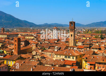 Blick vom Palazzo Guinigi in die Torre delle Ore, Lucca, Toskana, Italien, Europa Stockfoto