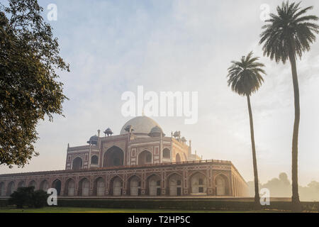 Palmen von Humayun's Tomb bei Sonnenaufgang in Delhi, Indien, Asien Stockfoto