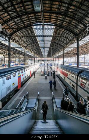 Bahnhofshalle, Plattform mit den Zügen der Schweizerischen Bundesbahnen SBB, Bahnhof, Basel, Schweiz Stockfoto