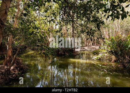 Blick auf die Lagune zu 'Hartley's Crocodile Adventures Wildlife Sanctuary, Captain Cook Highway, Wangetti, Queensland, Australien. Stockfoto