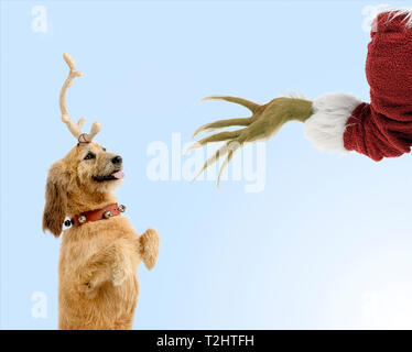 Der Grinch mit Max der Hund Stockfoto