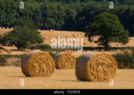 Strohballen auf einem Feld in der Nähe des Wrekin, Shropshire, England, Großbritannien Stockfoto