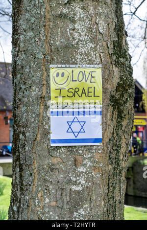 Liebe Israel Flyer mit Smiley zu einem Baum mit dem Davidstern unten festgesteckt Stockfoto