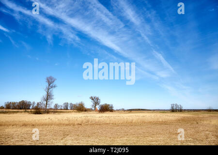 Picture of a spring rural landscape. Stockfoto