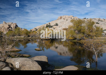 Barker Dam im Joshua Tree National Park, Kalifornien Stockfoto