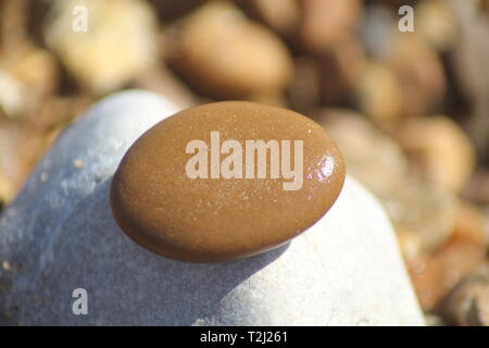 In der Nähe von nassen Kiesel auf einem Felsen an einem sonnigen, stoney Strand Stockfoto